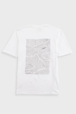 Contrast Sleeve T-Shirt - Seagull Stripe