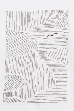 Contrast Sleeve T-Shirt - Seagull Stripe